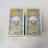 Funko POP One Piece #1607 Luffy Gear Five Chase + Common set & Protector