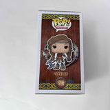 Funko POP! Movies How to train your dragon #1791 Astrid & Protector