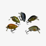 5 pcs set 0.1 oz / 1” mini crank baits - gold