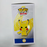 Funko POP! Games: Pokemon #598 : Grumpy Pikachu & Protector